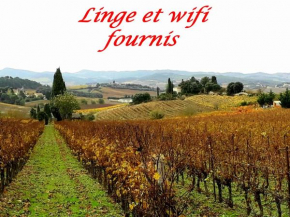 La Languedocienne appartement climatisé centre ville wifi inclus